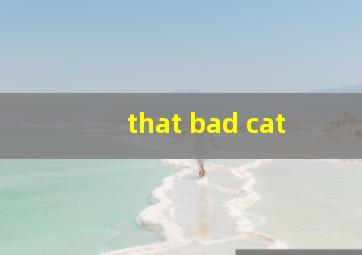 that bad cat